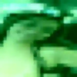Profil de Joanne à Fresnoy-en-Thelle (38 ans) - plan cul anonyme
