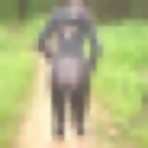 plan cul à Frœningen : profil de Sandrine, 28 ans - inscription gratuite