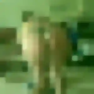 Photo exclusive de Thais, 41 ans à Gauriac - rencontre coquine