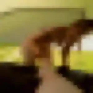Kenza, femme de 22 ans cherche plan cul à Geay