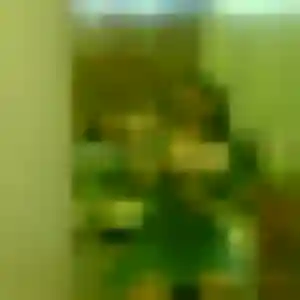Photo perso de Wahiba, 45 ans à Gelles - rencontre coquine