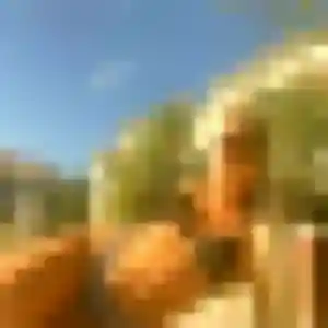 Photo exclusive de Solange, 23 ans à Gençay - rencontre coquine