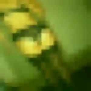 Rejoins Fleur, 38 ans à Gennes-Longuefuye en privé