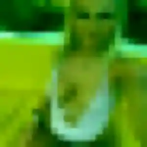 Photo de Rachel à Gerzat (33 ans) - plan cul anonyme