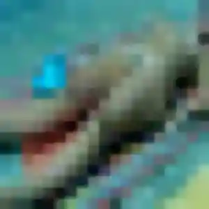 Fleur, 40 ans, disponible à Gières pour une rencontre coquine