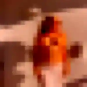 Photo de Harmony à Glomel (24 ans) - plan cul gratuit