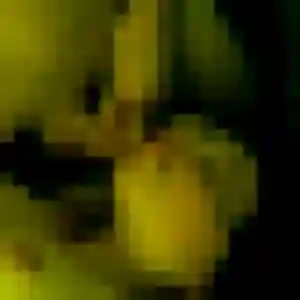 Wendy, femme de 27 ans veut plan cul à Gouffern en Auge
