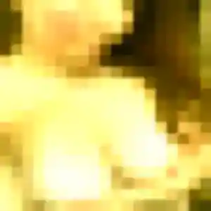 Belle Aurore, 37 ans à Gourin - la contacter