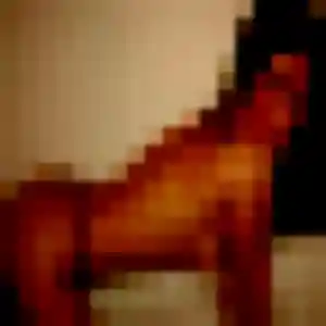 Domitille, 31 ans, en ligne à Gouvieux pour une rencontre coquine