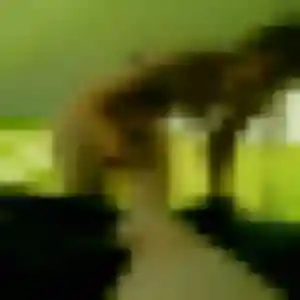 Ximena, 36 ans, en ligne à Graçay pour un plan cul