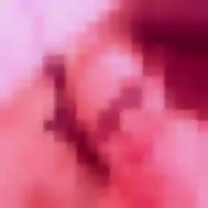 Rencontre Dorothee, 34 ans à Grand-Auverné en privé