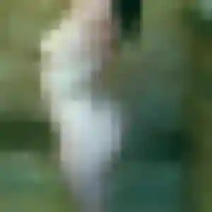 Anne-Charlotte, 45 ans, en ligne à Grazay pour une rencontre coquine