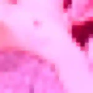 Anne-Charlotte, 39 ans, dispo pour plan cul à Grez-en-Bouère