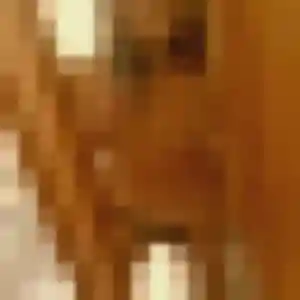 Photo exclusive de Oriane, 41 ans à Grez-Neuville - rencontre coquine