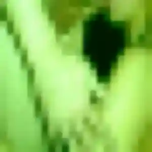 Photo de Alienor à Groslay (25 ans) - plan cul gratuit