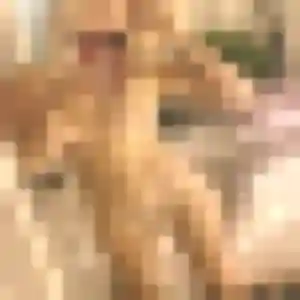 Rosemarie, 24 ans, connectée à Gruffy pour une rencontre coquine