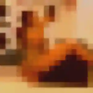 Photo de Honorine à Hégenheim (28 ans) - plan cul anonyme
