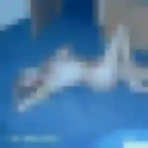 Tania, 31 ans, dispo pour plan cul à Herbeys