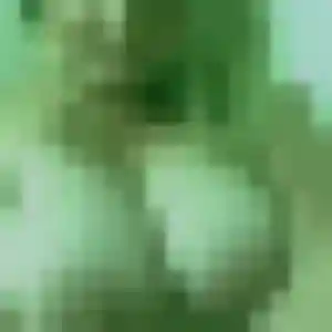 Photo perso de Anne-Laure, 36 ans à Herry - plan discret