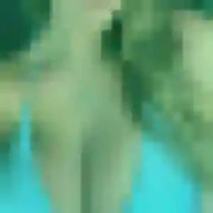 Photo de Zina à Herry (26 ans) - plan cul sans inscription
