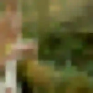 Samira (31 ans) à Heyrieux attend une rencontre rapidement