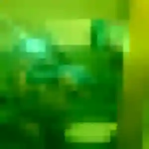 Photo de Augustine à Holque (26 ans) - plan cul anonyme