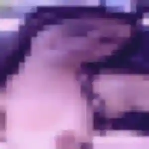 Ava, 42 ans, disponible à Houtaud pour une rencontre coquine