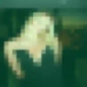 Florence de Isles-sur-Suippe, 22 ans - plan cul discret