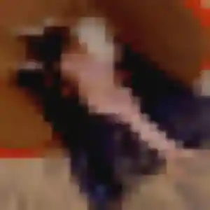 Photo privée de Vicky, 39 ans à Iwuy - rencontre sans lendemain