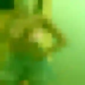Photo exclusive de Rachel, 29 ans à Izernore - rencontre coquine