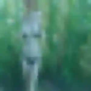 Hortense, 36 ans, cherche un plan cul à Kilstett