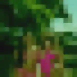 Photo de Ameline à L'Île-d'Elle (28 ans) - plan cul discret