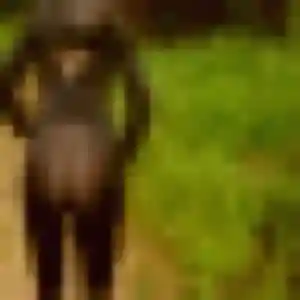 plan cul à La Bourgonce : photo de Imane, 30 ans - sans engagement