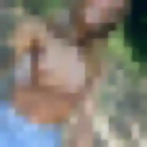 Photo de Anastasia à La Chapelle-Heulin (43 ans) - plan cul gratuit