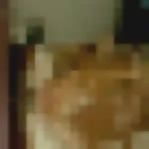 Photo perso de Odette, 29 ans à La Chapelle-Moulière - plan discret