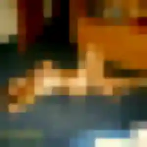 Profil de Blandine à La Crau (36 ans) - plan cul anonyme