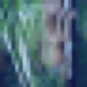 Photo exclusive de Harmony, 27 ans à La Devise - rencontre coquine