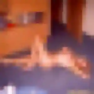 Sexy Wilhelmine, 33 ans à La Ferté-en-Ouche - la contacter