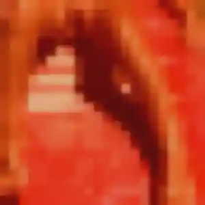 Photo de Caroline à La Frette (23 ans) - plan cul sans inscription