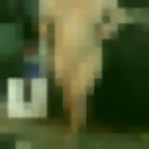 Photo sexy de Nina, 27 ans à La Mulatière - rencontre coquine