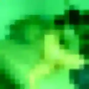 Photo privée de Emeraude, 29 ans à La Palme - rencontre coquine