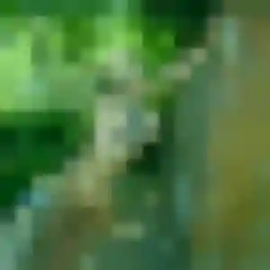 Nadia, fille de 37 ans cherche plan cul à La Plagne Tarentaise