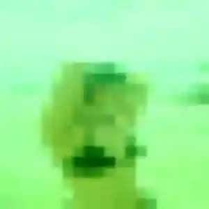 Photo de Delphine à La Roche-l'Abeille (35 ans) - plan cul sans inscription
