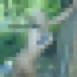 Daniela, fille de 28 ans propose plan cul à La Roquette-sur-Var