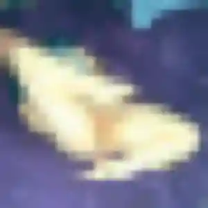 Morgane, 39 ans, connectée à La Salvetat-sur-Agout pour une rencontre coquine