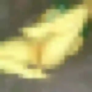 Marie-Christine, fille de 45 ans cherche plan cul à La Tessoualle