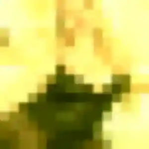 Apolline, femme de 27 ans cherche plan cul à La Turballe