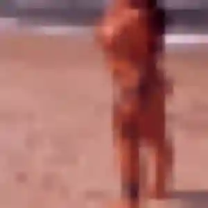 Malika, fille de 42 ans cherche plan cul à La Vaupalière