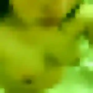 Photo de Flavia à Labarde (45 ans) - plan cul discret