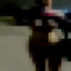 Natasha (31 ans) à Lacroix-Falgarde cherche une rencontre maintenant